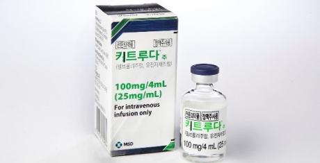 '키트루다, 기다려라'…바이오시밀러 개발 중인 국내 기업들