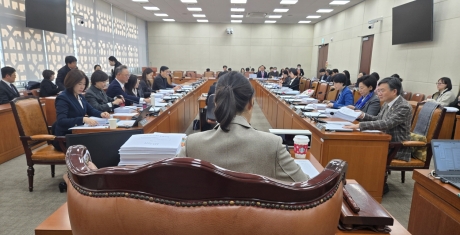 의료계 이목 집중된 ‘의료분쟁조정법·업무조정위법’, 소위 계류