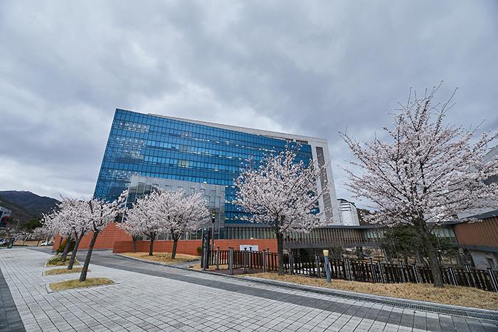 케이메디허브, 발암 인자 'AEG-1' 측두엽 뇌전증 관련 신규 기능 규명