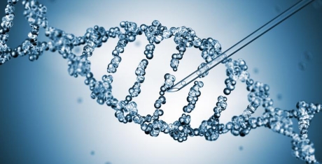 국내 유전자 가위 치료제 개발·연구 활발…희귀질환 치료 가능성 열린다