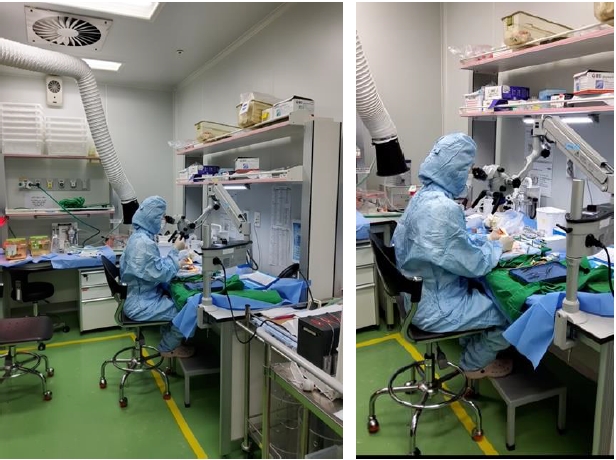 케이메디허브, 소동물 뇌졸중 모델제작 실습…전문인력 양성