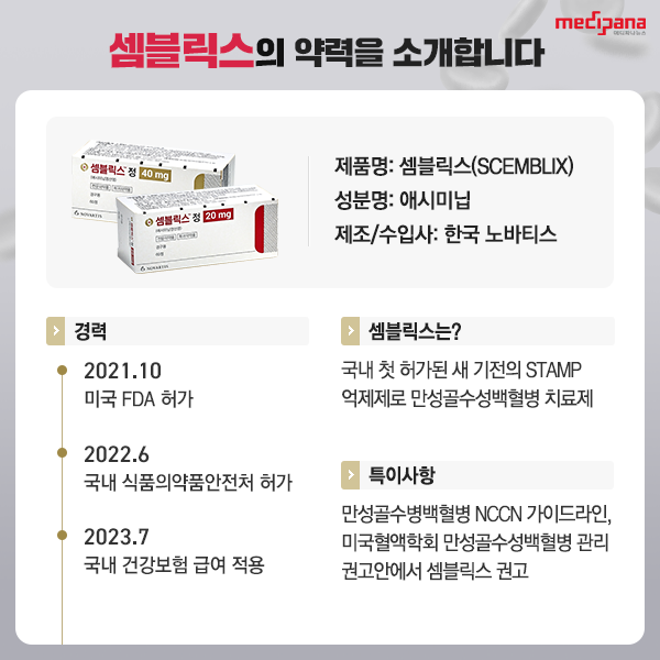 셈블릭스 약력