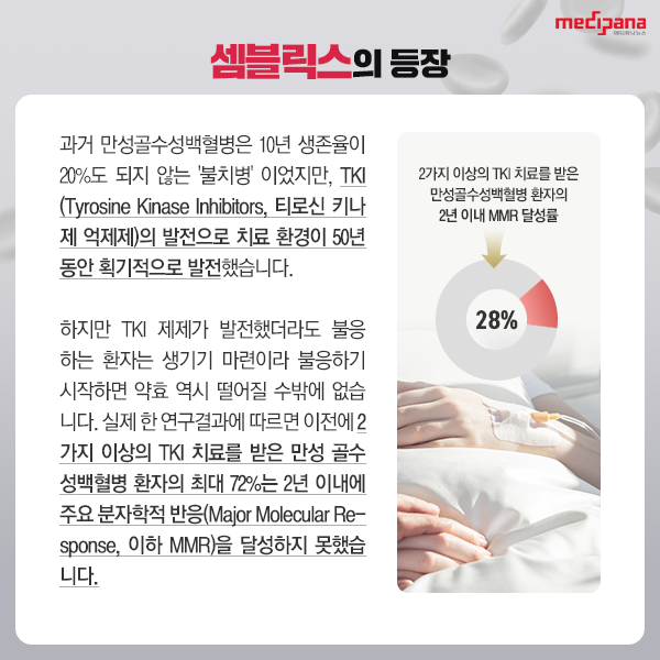 셈블릭스의 등장