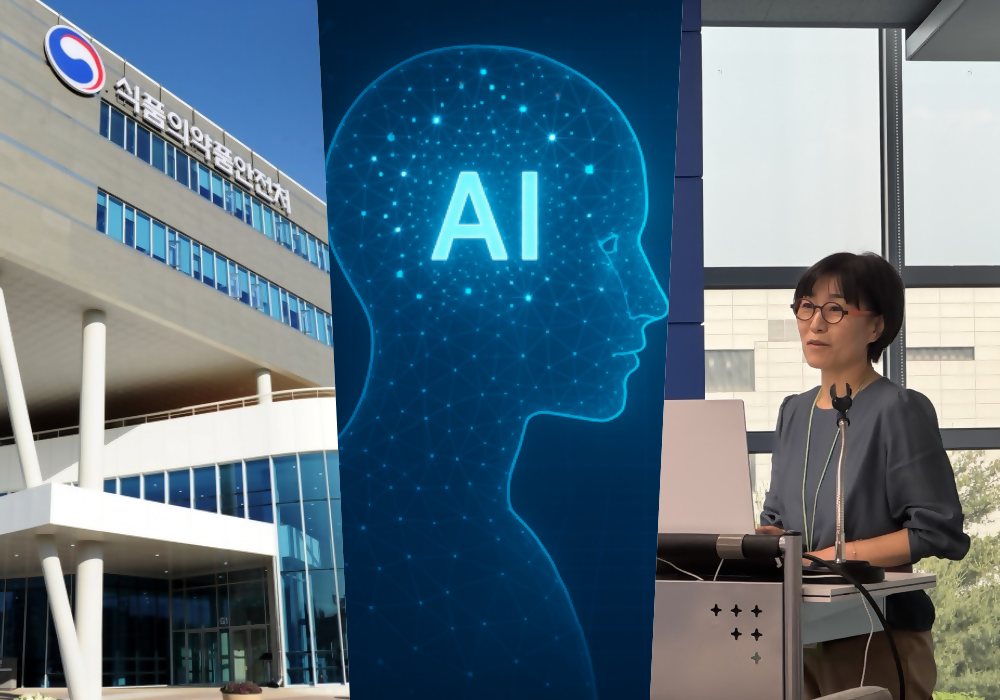식약처, '의약품 심사'서 'AI' 활용 나서…업무 효율성↑ 등 기대